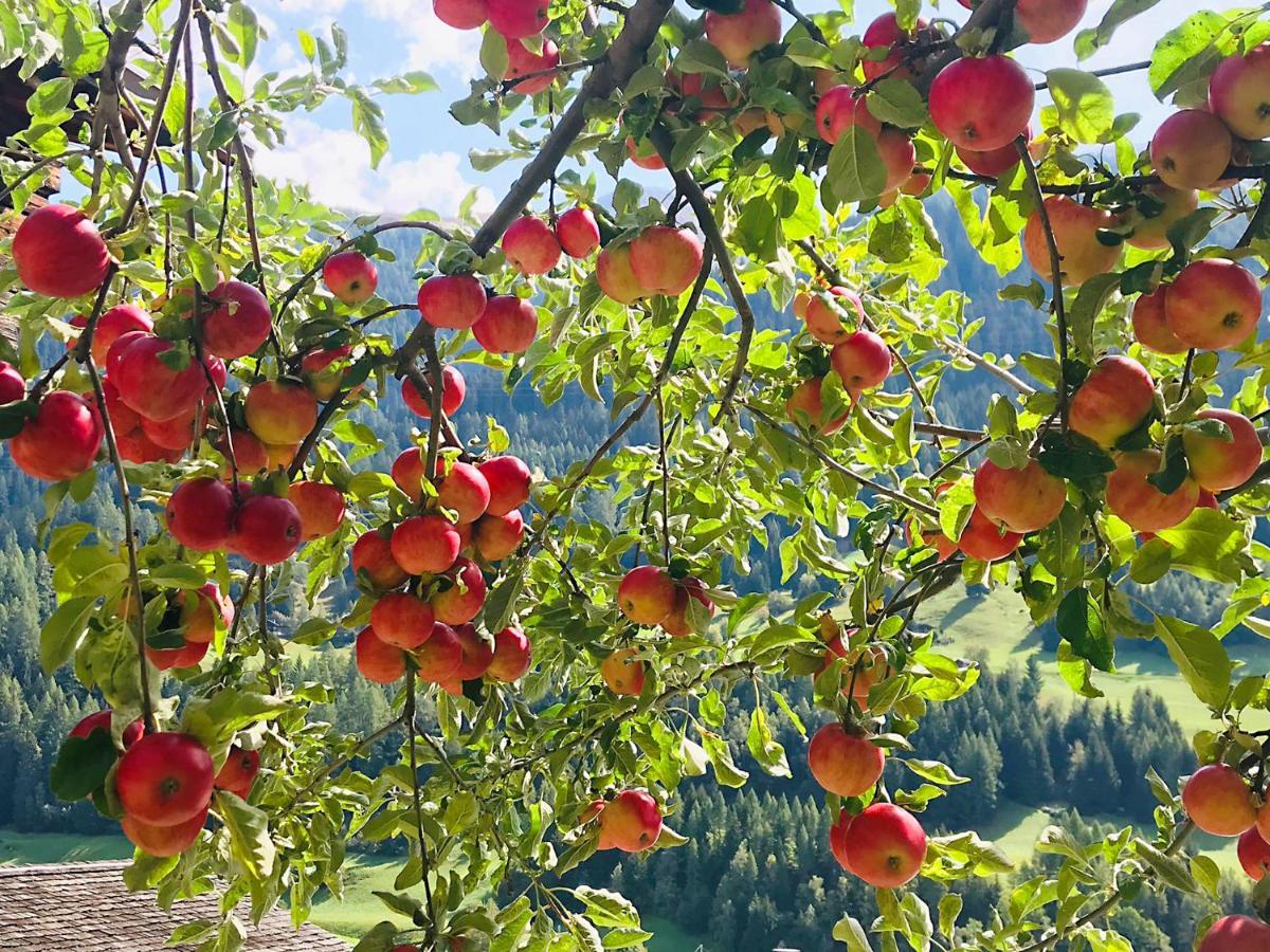 Denkmalgeschuetzter Spycher Total Renoviert Goms Exteriér fotografie